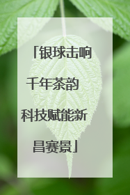 银球击响千年茶韵 科技赋能新昌赛景