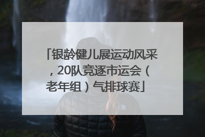 银龄健儿展运动风采，20队竞逐市运会（老年组）气排球赛