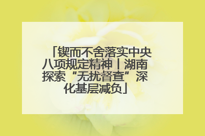 锲而不舍落实中央八项规定精神丨湖南探索“无扰督查”深化基层减负