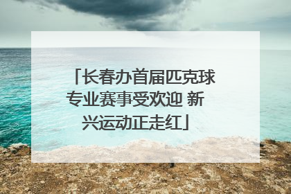 长春办首届匹克球专业赛事受欢迎 新兴运动正走红