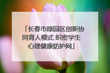 长春市绿园区创新协同育人模式 织密学生心理健康防护网