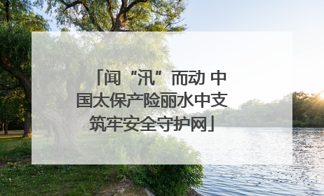 闻“汛”而动 中国太保产险丽水中支筑牢安全守护网