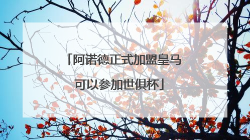 阿诺德正式加盟皇马 可以参加世俱杯