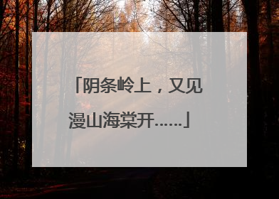 阴条岭上，又见漫山海棠开……