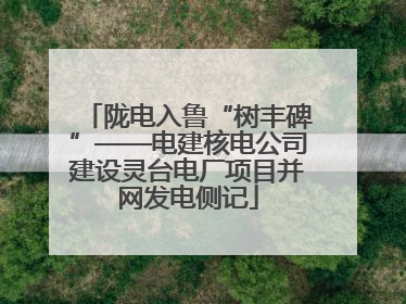 陇电入鲁“树丰碑”——电建核电公司建设灵台电厂项目并网发电侧记