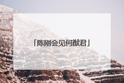 陈刚会见何猷君