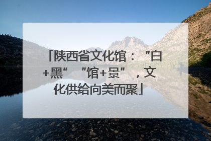 陕西省文化馆：“白+黑”“馆+景”，文化供给向美而聚