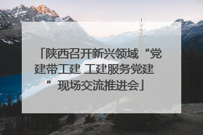 陕西召开新兴领域“党建带工建 工建服务党建”现场交流推进会