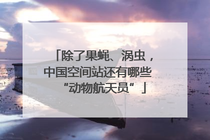 除了果蝇、涡虫，中国空间站还有哪些“动物航天员”