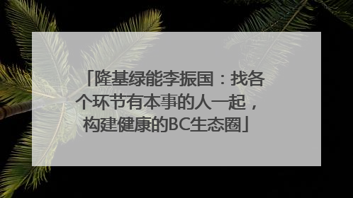 隆基绿能李振国：找各个环节有本事的人一起，构建健康的BC生态圈