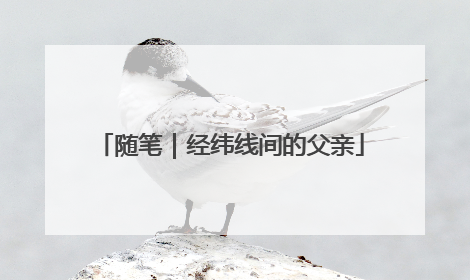 随笔｜经纬线间的父亲