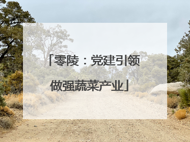 零陵：党建引领 做强蔬菜产业