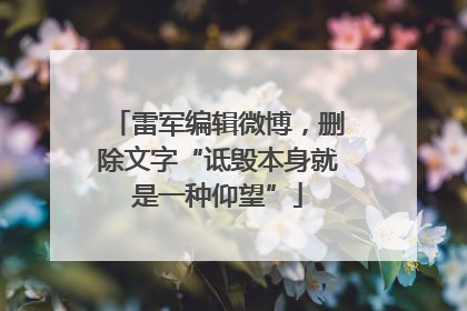 雷军编辑微博，删除文字“诋毁本身就是一种仰望”
