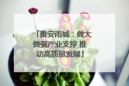 雅安雨城：做大做强产业支撑 推动高质量发展