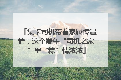集卡司机带着家属传温情，这个端午“司机之家”里“粽”情浓浓