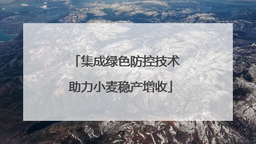 集成绿色防控技术助力小麦稳产增收