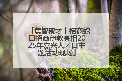 集智聚才丨招商蛇口招商伊敦亮相2025年嘉兴人才日主题活动现场