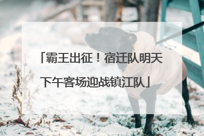 霸王出征！宿迁队明天下午客场迎战镇江队