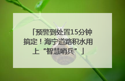 预警到处置15分钟搞定！海宁道路积水用上“智慧哨兵”