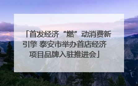 首发经济“燃”动消费新引擎 泰安市举办首店经济项目品牌入驻推进会