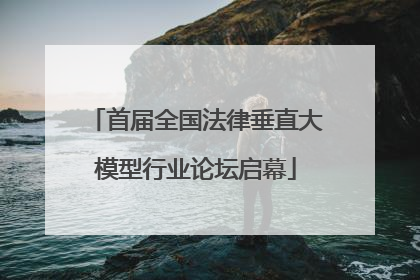 首届全国法律垂直大模型行业论坛启幕