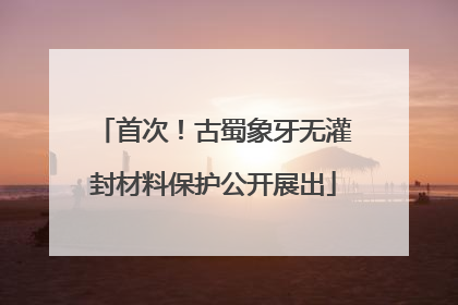 首次！古蜀象牙无灌封材料保护公开展出