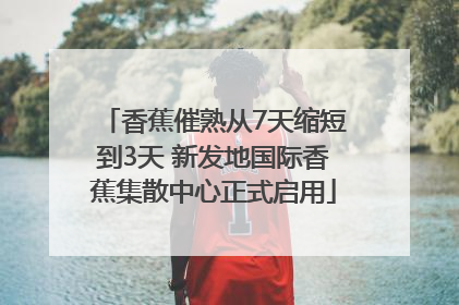 香蕉催熟从7天缩短到3天 新发地国际香蕉集散中心正式启用