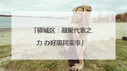驿城区：凝聚代表之力 办好惠民实事