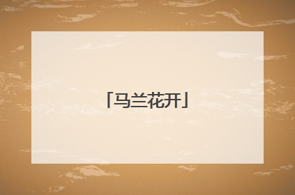 马兰花开