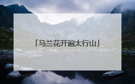 马兰花开遍太行山