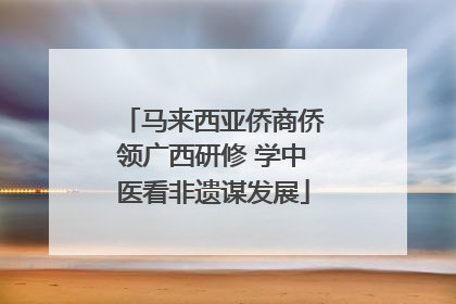 马来西亚侨商侨领广西研修 学中医看非遗谋发展