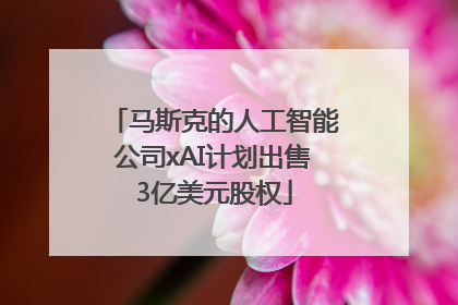 马斯克的人工智能公司xAI计划出售3亿美元股权