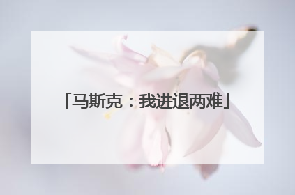 马斯克：我进退两难