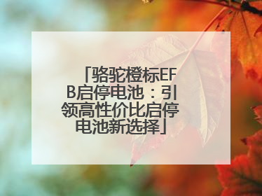骆驼橙标EFB启停电池：引领高性价比启停电池新选择