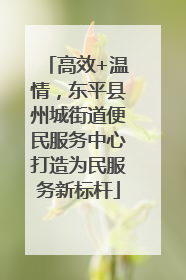 高效+温情，东平县州城街道便民服务中心打造为民服务新标杆