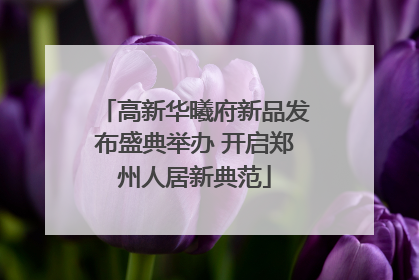 高新华曦府新品发布盛典举办 开启郑州人居新典范
