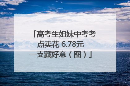 高考生姐妹中考考点卖花 6.78元一支藏好意（图）