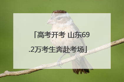 高考开考 山东69.2万考生奔赴考场