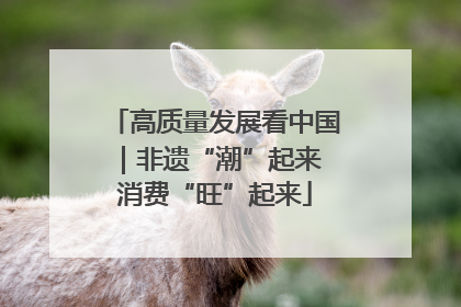 高质量发展看中国｜非遗“潮”起来 消费“旺”起来