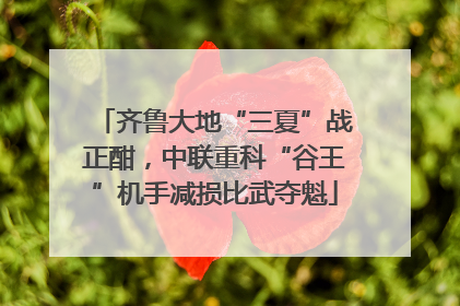 齐鲁大地“三夏”战正酣，中联重科“谷王”机手减损比武夺魁