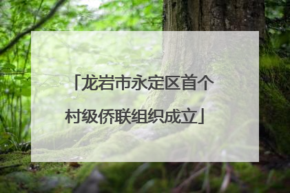 龙岩市永定区首个村级侨联组织成立
