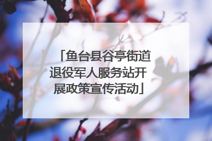 鱼台县谷亭街道退役军人服务站开展政策宣传活动
