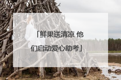 鲜果送清凉 他们启动爱心助考