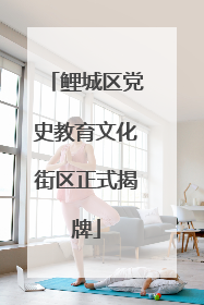 鲤城区党史教育文化街区正式揭牌
