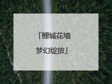 鲤城花墙 梦幻绽放