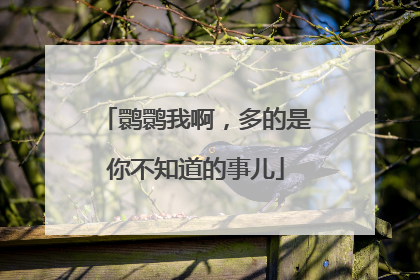 鹮鹮我啊，多的是你不知道的事儿