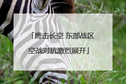 鹰击长空 东部战区空战对抗激烈展开