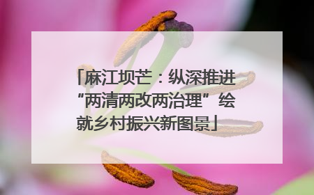 麻江坝芒：纵深推进“两清两改两治理”绘就乡村振兴新图景