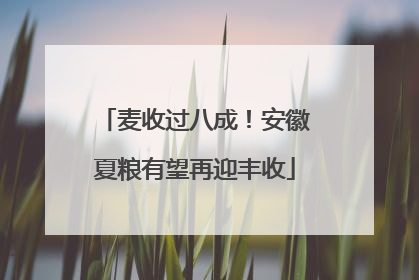 麦收过八成！安徽夏粮有望再迎丰收