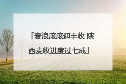 麦浪滚滚迎丰收 陕西麦收进度过七成